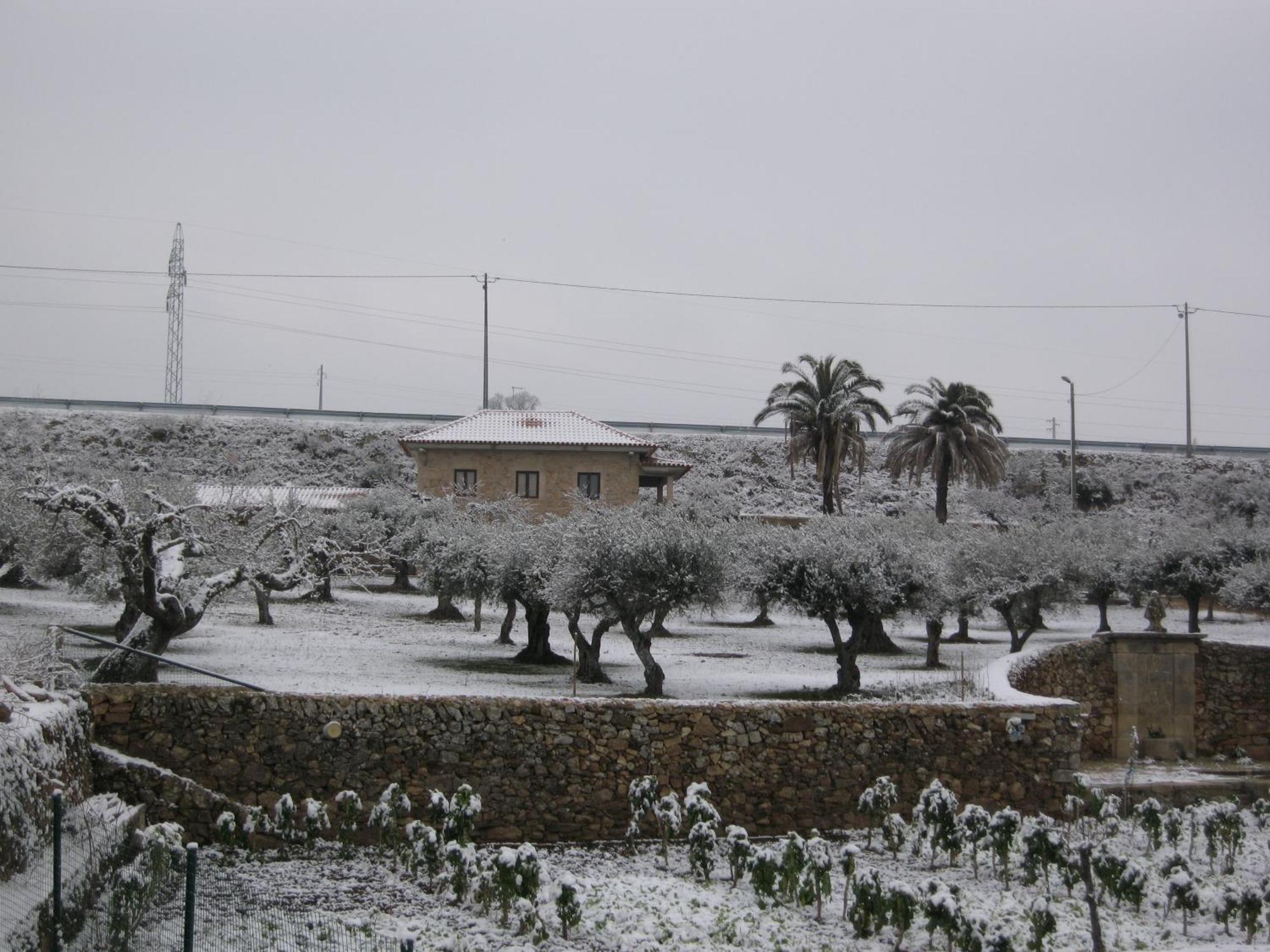 Quinta Das Pias - Holiday Farm Pinhel Εξωτερικό φωτογραφία